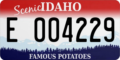 ID license plate E004229