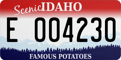 ID license plate E004230