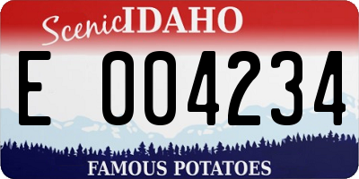 ID license plate E004234