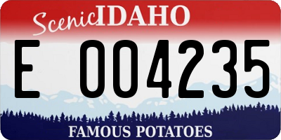 ID license plate E004235