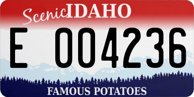 ID license plate E004236