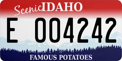 ID license plate E004242