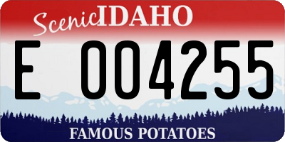 ID license plate E004255