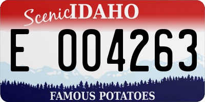 ID license plate E004263