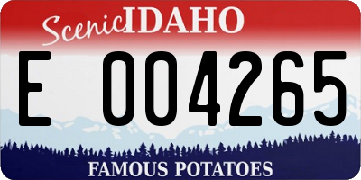 ID license plate E004265