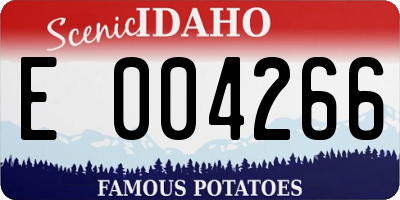 ID license plate E004266