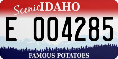 ID license plate E004285