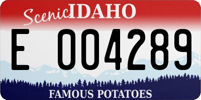 ID license plate E004289