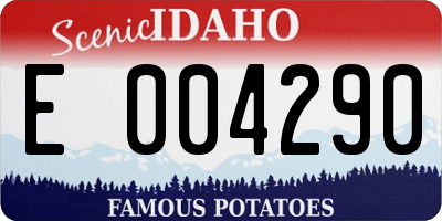 ID license plate E004290