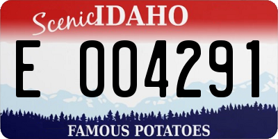 ID license plate E004291