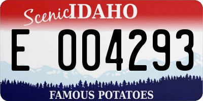 ID license plate E004293