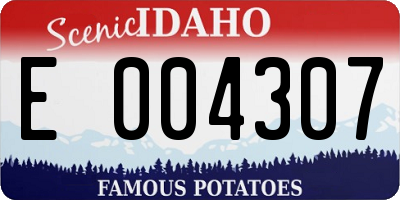 ID license plate E004307