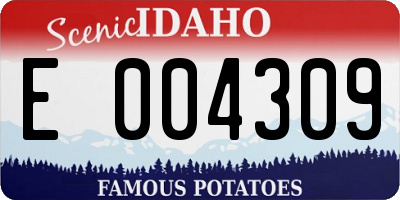 ID license plate E004309