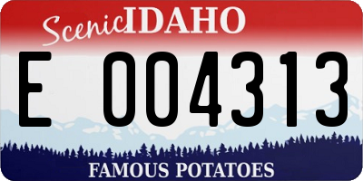 ID license plate E004313