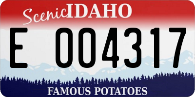 ID license plate E004317