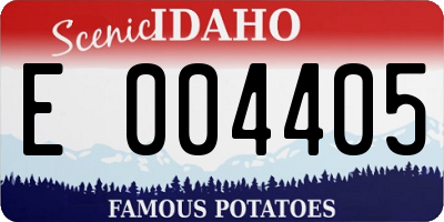 ID license plate E004405