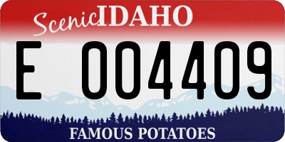 ID license plate E004409