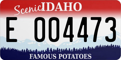 ID license plate E004473