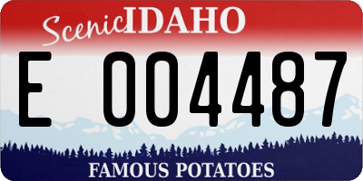 ID license plate E004487