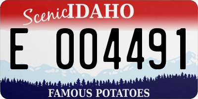 ID license plate E004491