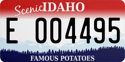 ID license plate E004495