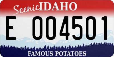 ID license plate E004501