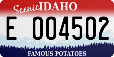 ID license plate E004502