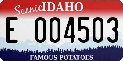 ID license plate E004503