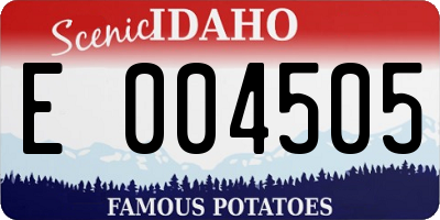 ID license plate E004505