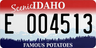 ID license plate E004513