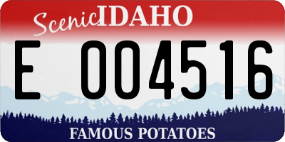 ID license plate E004516