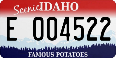 ID license plate E004522