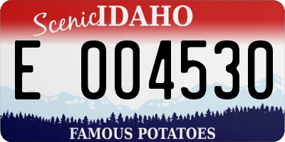 ID license plate E004530
