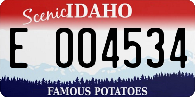 ID license plate E004534