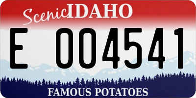 ID license plate E004541