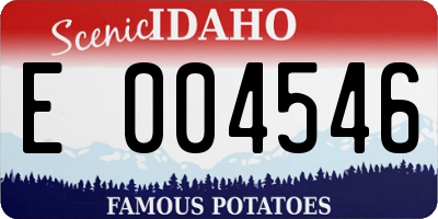 ID license plate E004546