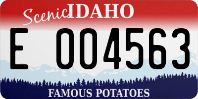 ID license plate E004563