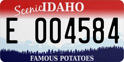 ID license plate E004584