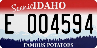 ID license plate E004594