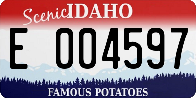 ID license plate E004597