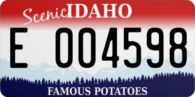 ID license plate E004598