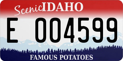 ID license plate E004599