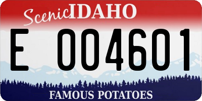 ID license plate E004601