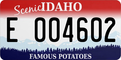 ID license plate E004602