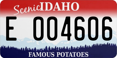 ID license plate E004606