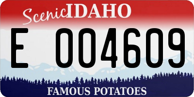 ID license plate E004609