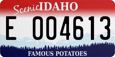 ID license plate E004613