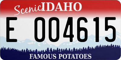 ID license plate E004615