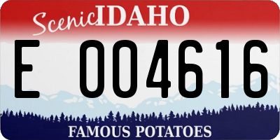 ID license plate E004616