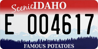 ID license plate E004617